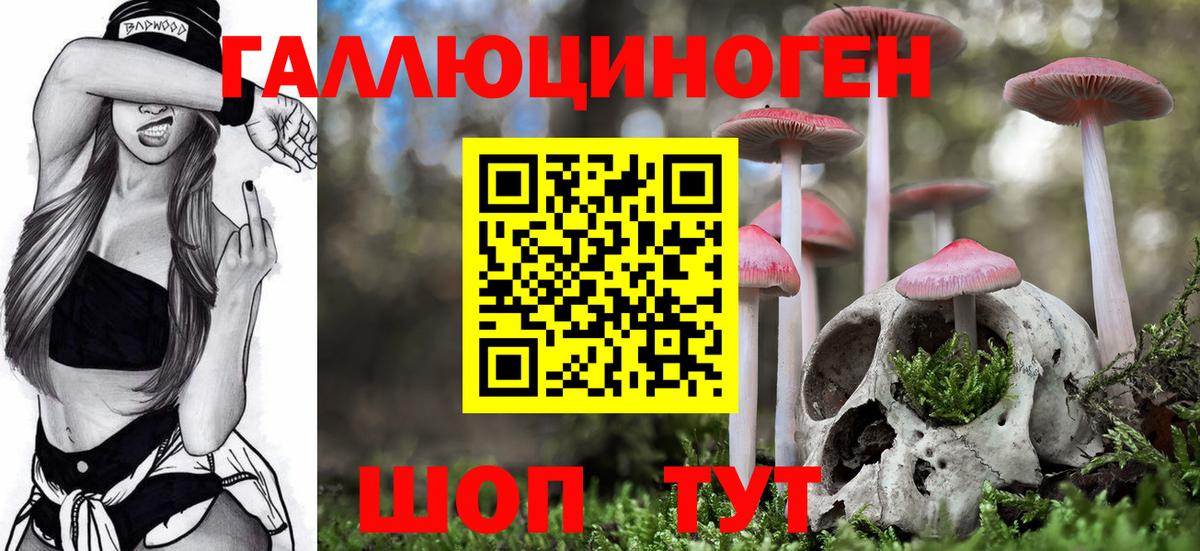 Меф МЯУ МЯУ   ГАШ  Славянск-на-Кубани  Вход с VPN 
